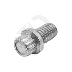 Twelve Point Bolt Vandal Proof